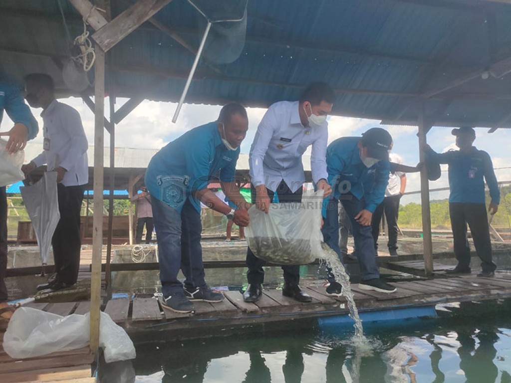 Dukung Peningkatan Ekonomi Produktif, Wali Kota Bantu 2.000 Bibit Ikan Nila