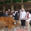 Shalat Idul Adha di Masjid Agung Pelita, Wawali Rusmadi Serahkan 2 Ekor Sapi
